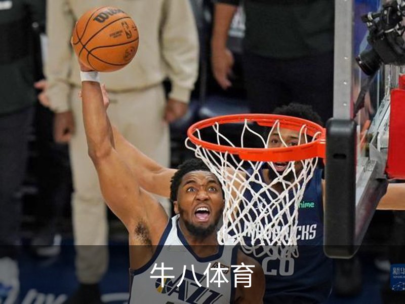 了解牛八体育